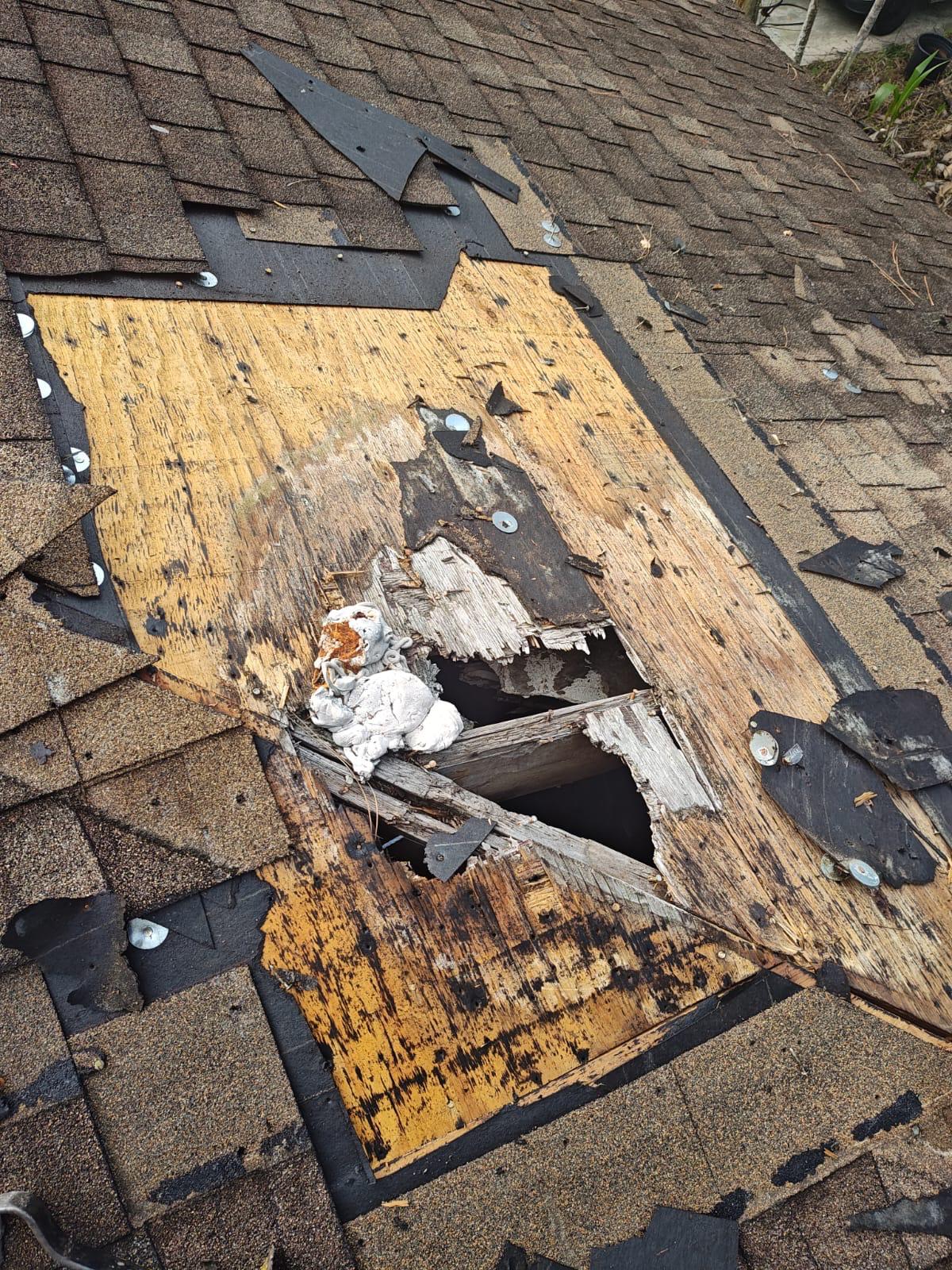 Roof Repair project by Shield Proof Roofing in South Florida
